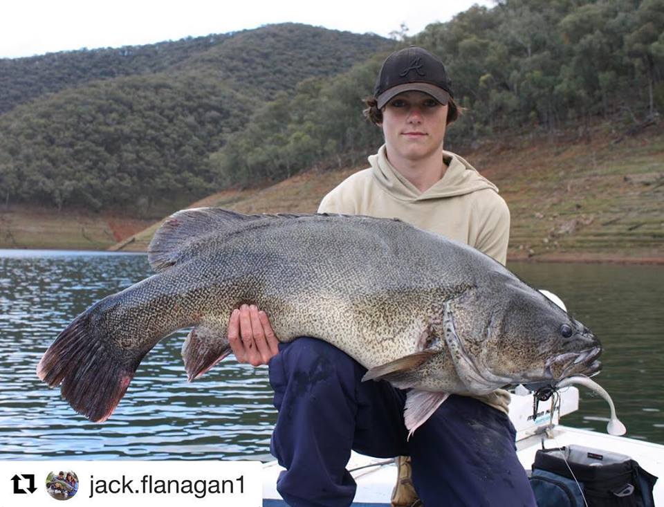 108cm caught on a Bassman Mumbler