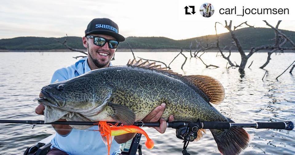 Carls Cod on Bassman Mumbler