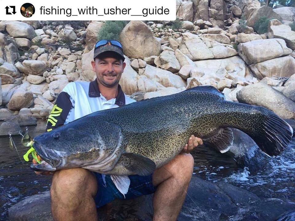 Want a guided trip on Copten Dam get in contact with Josh